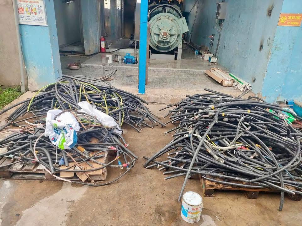 Kiểm tra và định giá cáp 3 pha cũ trước khi thu mua